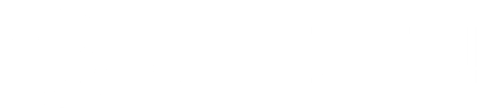 Dilizen logo